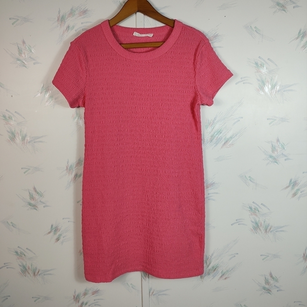 Elodie Pink Short Sleeve Textured Dress Mini Large